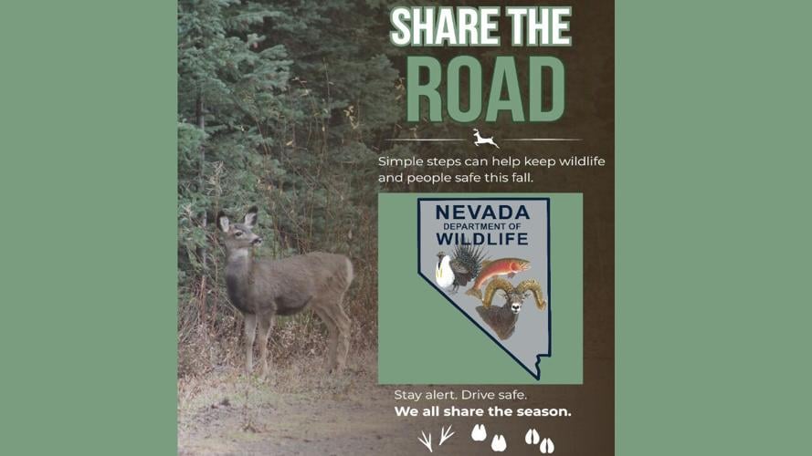 SHare the Road .jpg