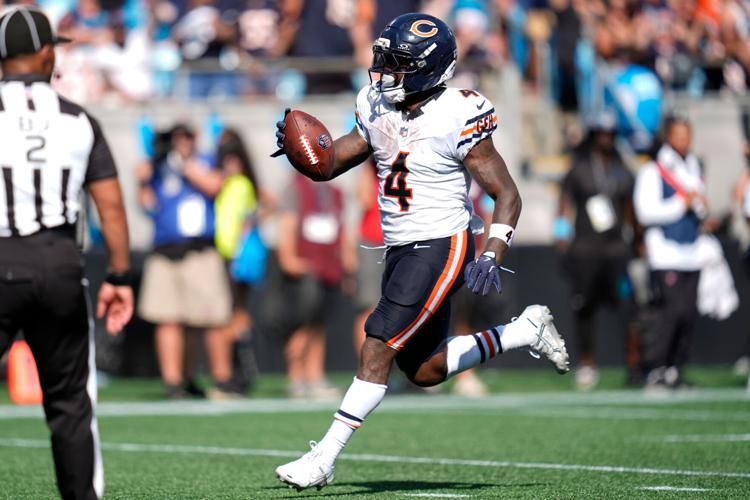 Bears Panthers Football