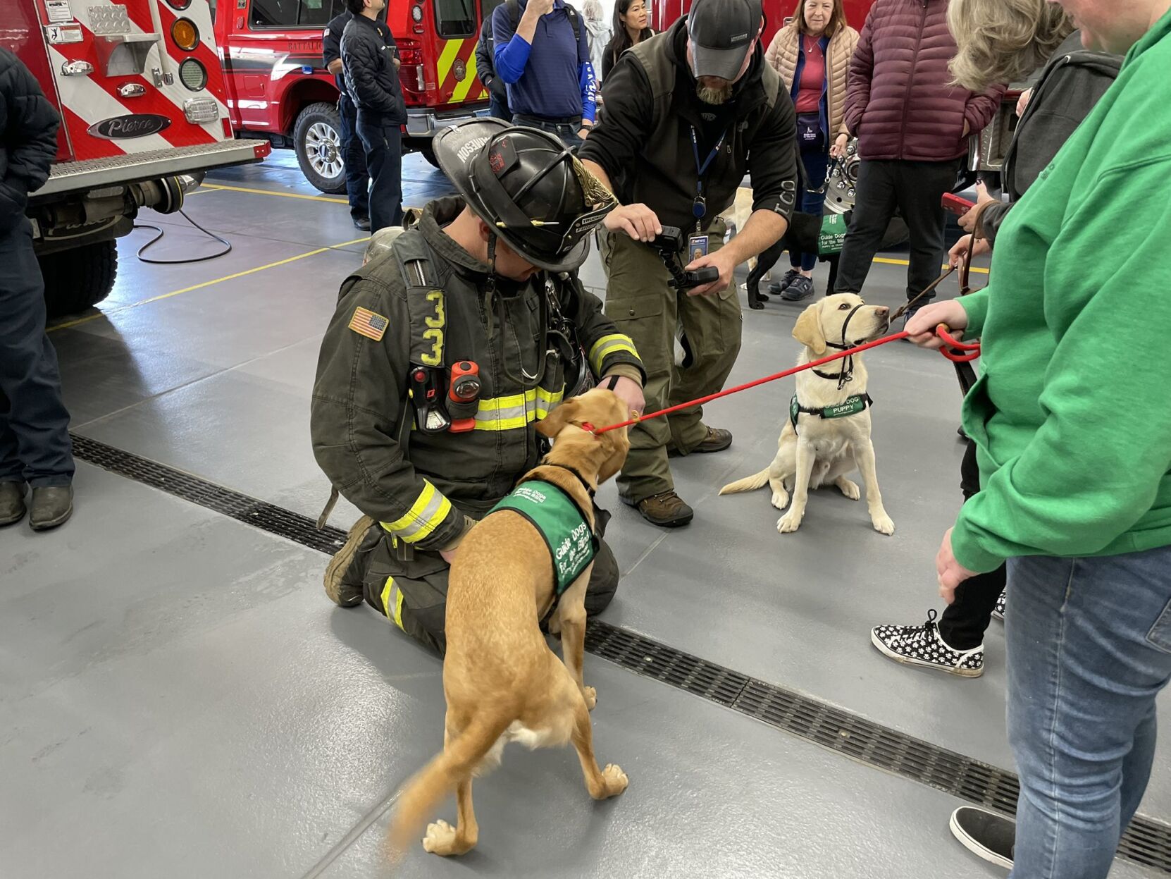 Guide sales dog rescue