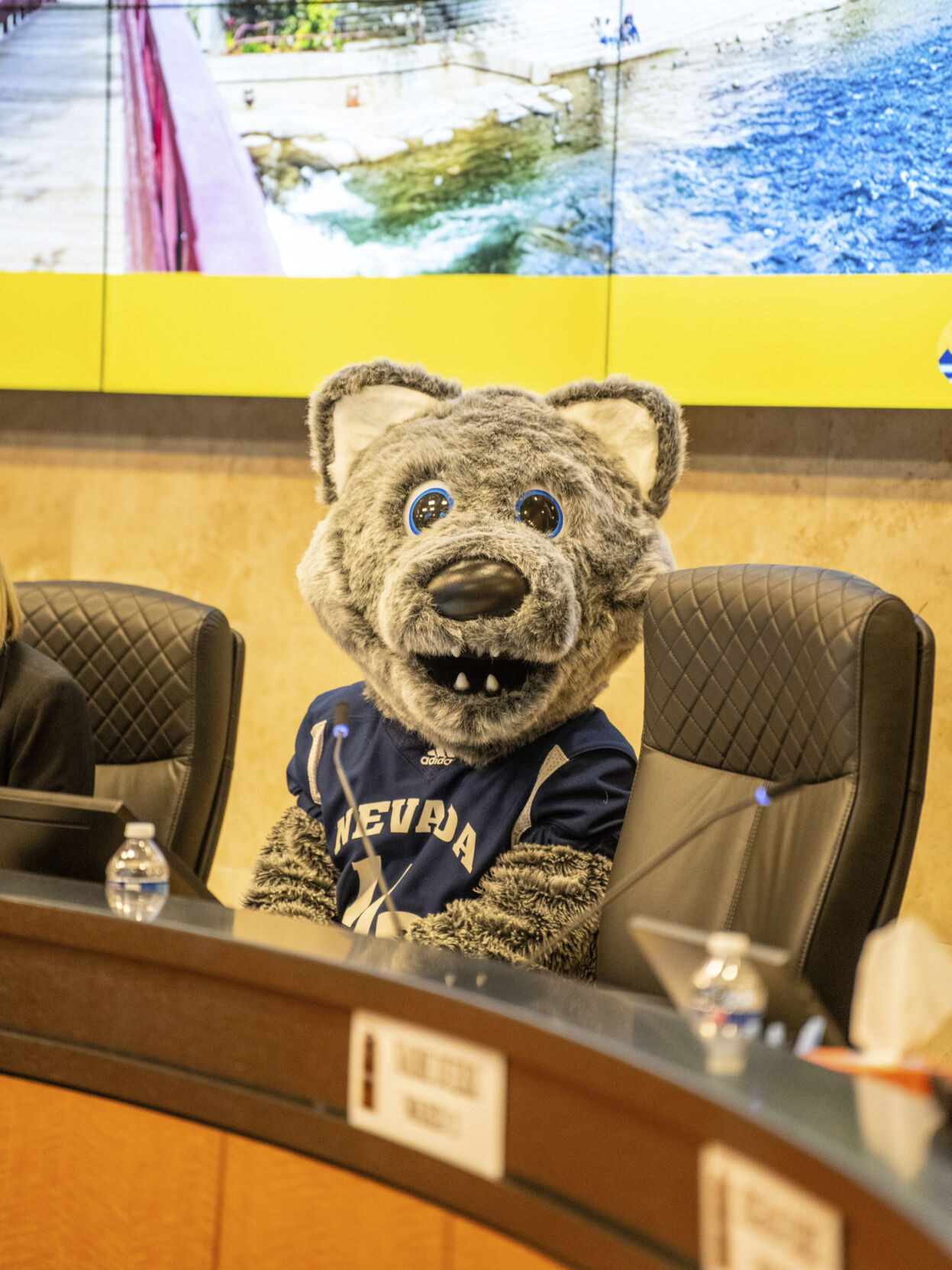Wolfie Jr. Mayor for the day