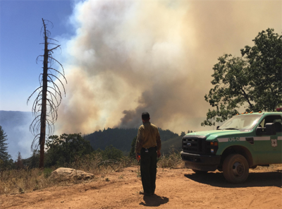 California's Trailhead Wildfire Causes Evacuations; Smoke Seen Over Northern Nevada