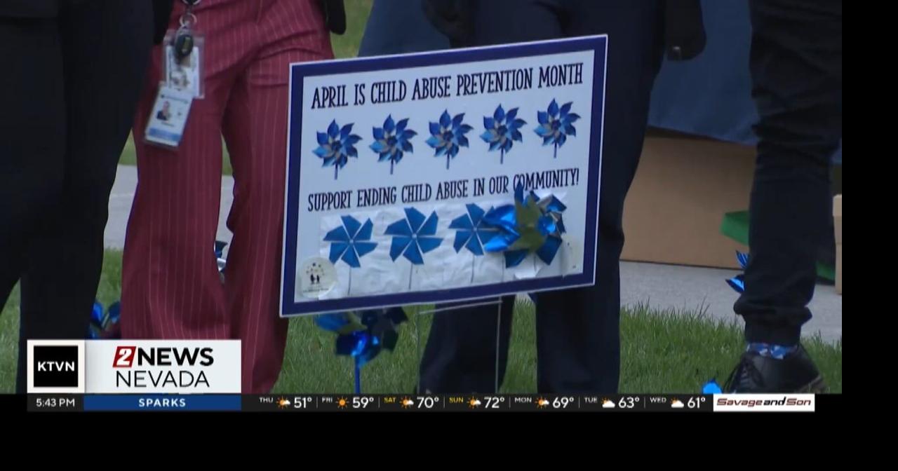 Pinwheel planting spotlights county and state fight to hold child ...