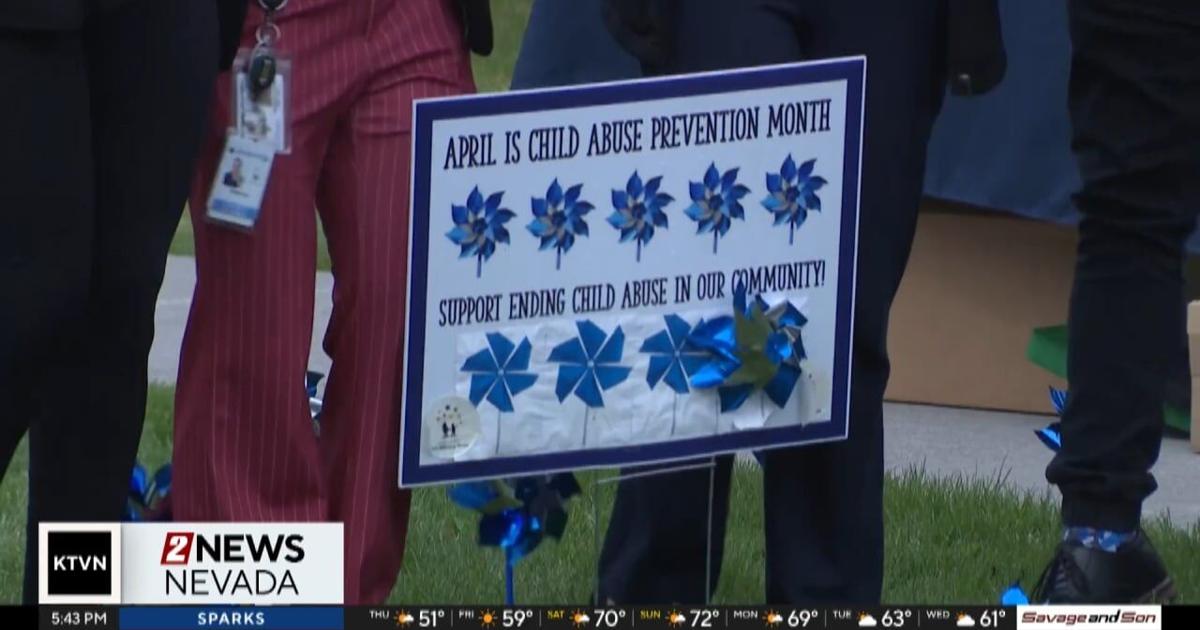 Pinwheel planting spotlights county and state fight to hold child ...