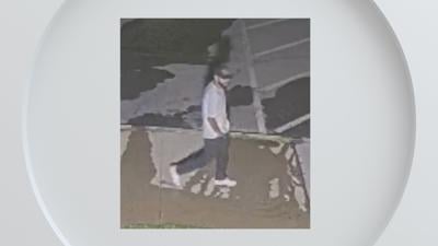 Carson City Burglary Suspect.jpg