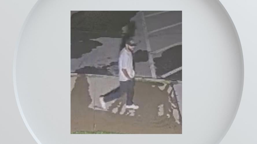 Carson City Burglary Suspect.jpg