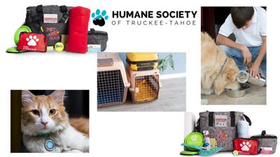 Pet Disaster prepardeness .jpg