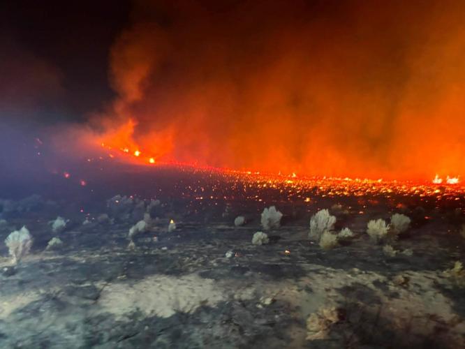 Fred Mountain Fire