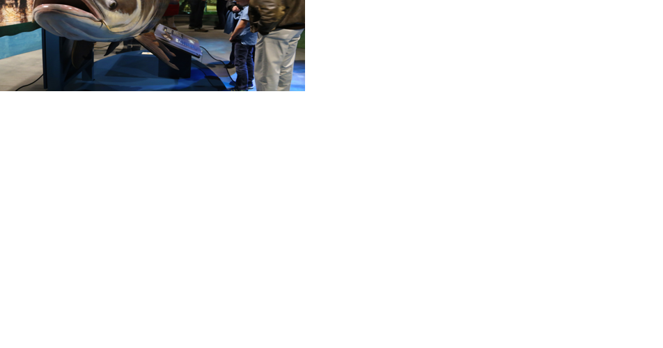 世界の怪魚特集 巨大魚 Fresh Water Giants5DVD無し 640227930c616.image.png?crop=