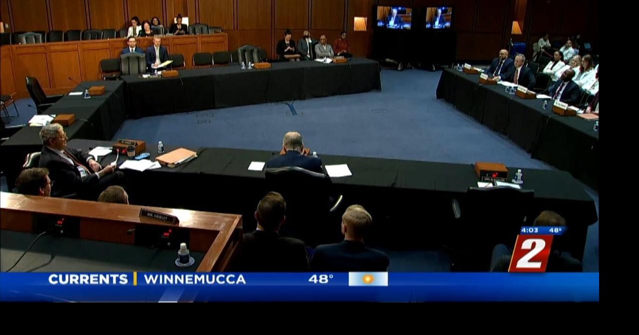 Senate Holds Gun Violence Hearing News