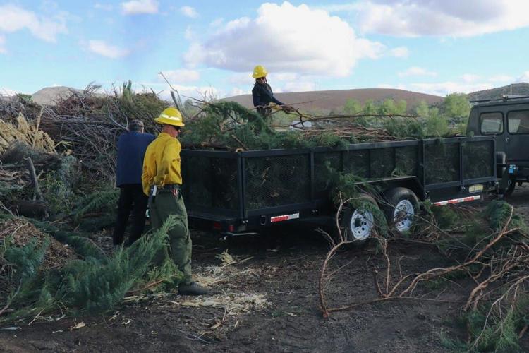 Homeowners Urged to Junk the Junipers Saturday to Prepare for Wildfire