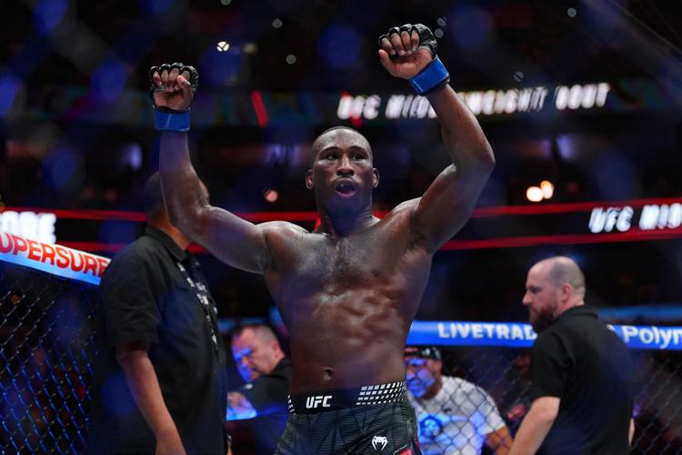 UFC 330 Mixed Martial Arts