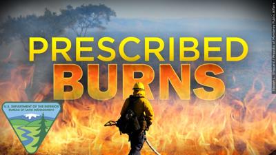 Prescribed burn