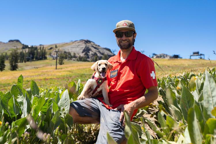 Palisades Tahoe New Avalanche Rescue Dog - Meet Binny