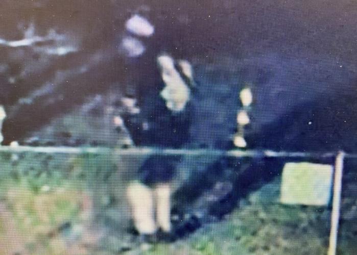 Person of interest in dog case