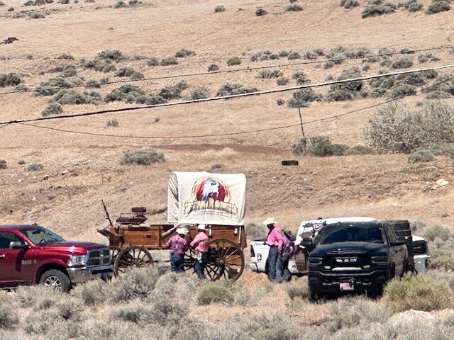 Reno Rodeo 2025 Cattle Drive - final trek to rodeo grounds 1