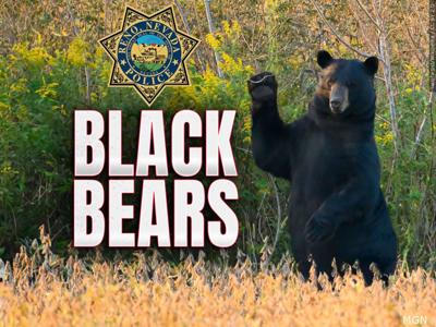 Black Bear with Rpd Badge .jpg