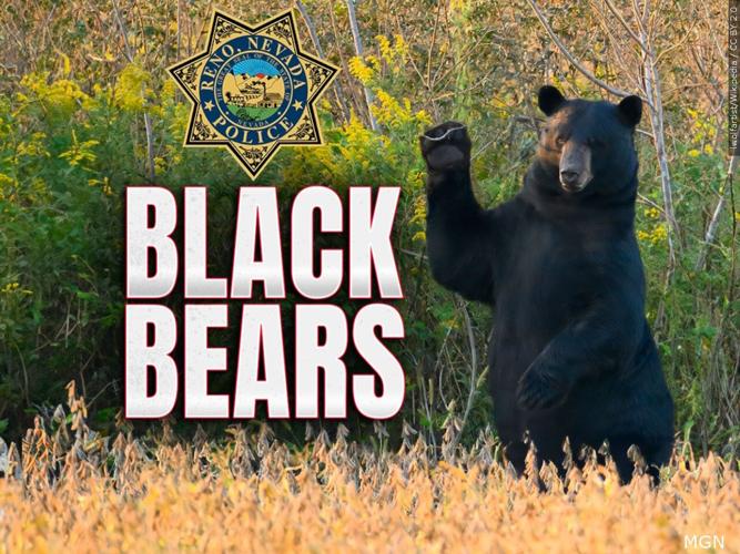 Black Bear with Rpd Badge .jpg