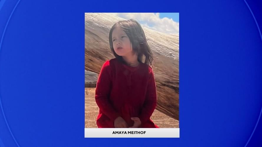 Amaya Meithof Picture.jpg