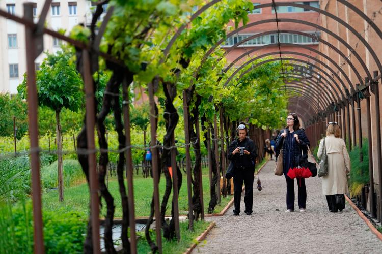Italy Venice Biennale