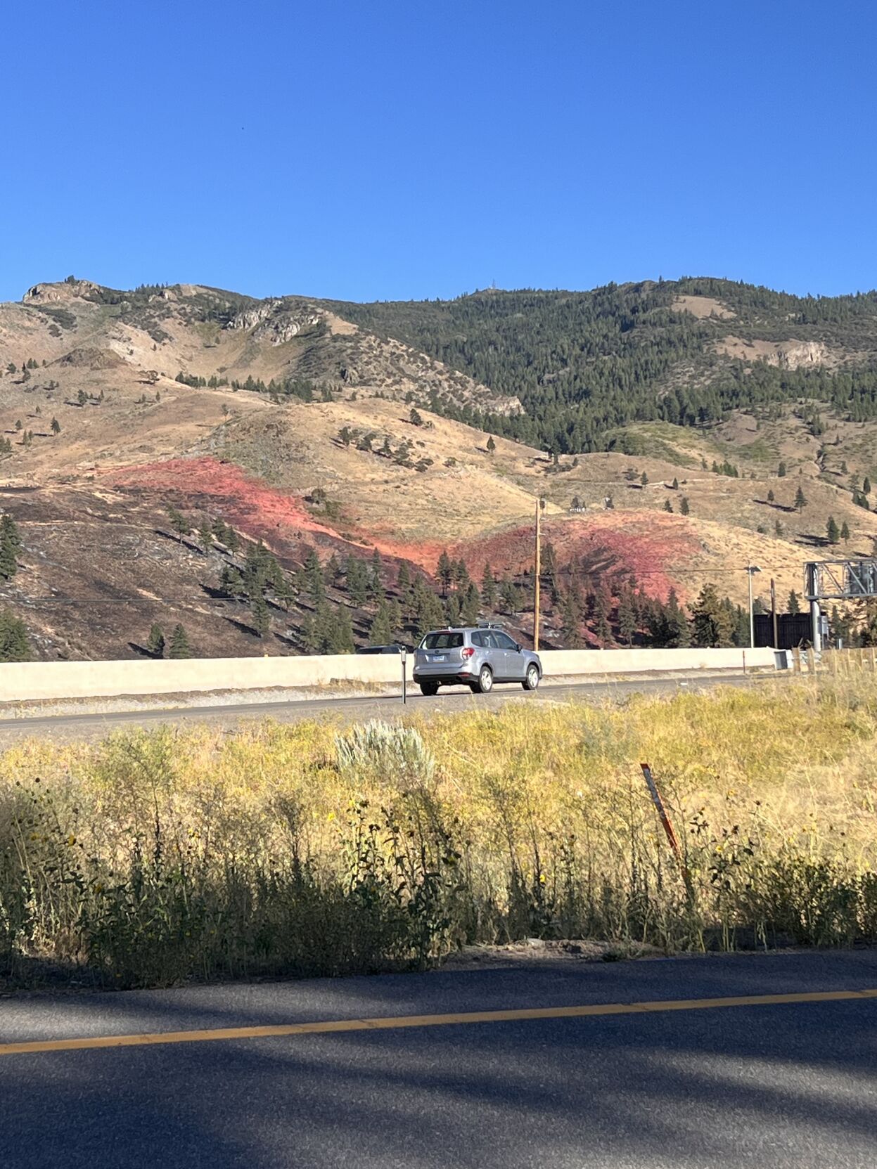 Gold Ranch Burn Scar