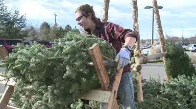 Boy Scouts Continue Christmas Tree Tradition