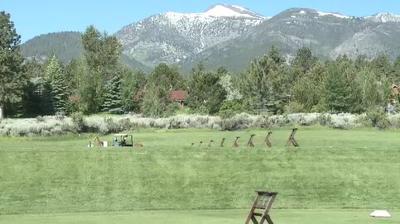 'Miracles at Montreux' Golf Tournament Benefits Renown Children's Hospital