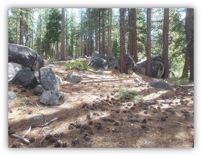 LTBMU High Meadows Acq Aug-2021 C (002).jpg