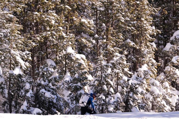 California Avalanche