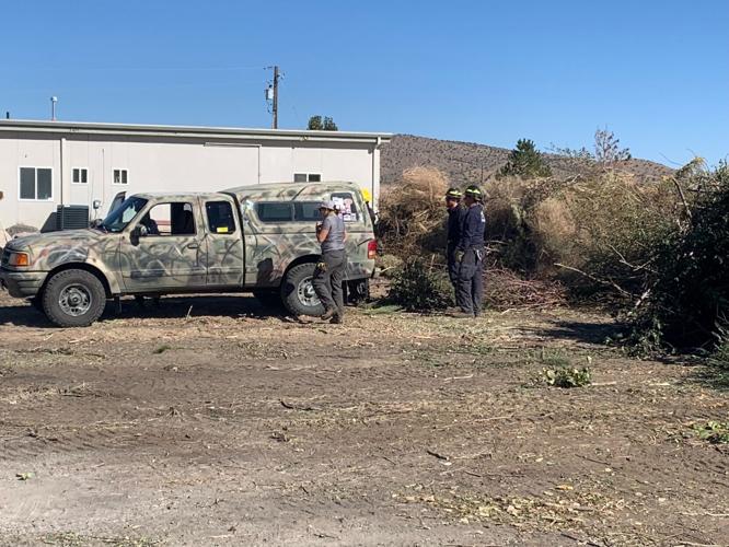 TMFR Announces Dates for Autumn 2022 Green Waste Collection Days