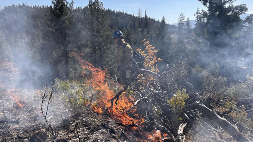 Quincy prescribed fire 1