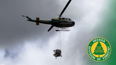 Heli Reseeding with NDOF logo