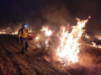 Bug fire pic