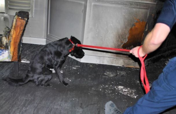 Reno Fire Dept. Arson Investigation