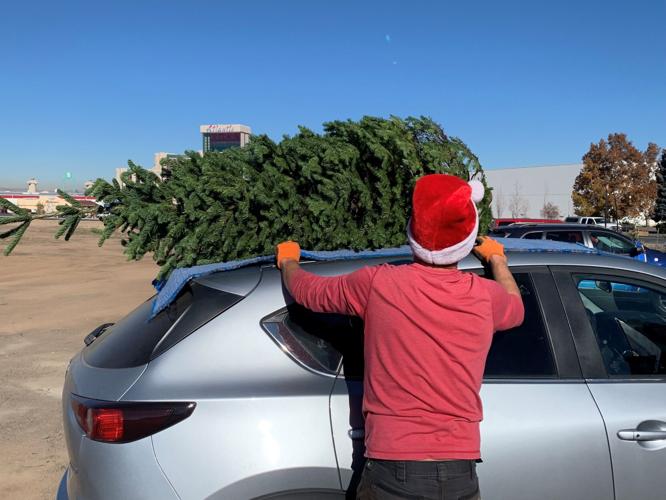 Christmas Tree Prices