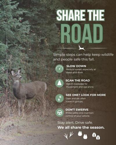 Share the road.jpg