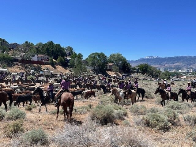 Cattle Drive 33.jpg