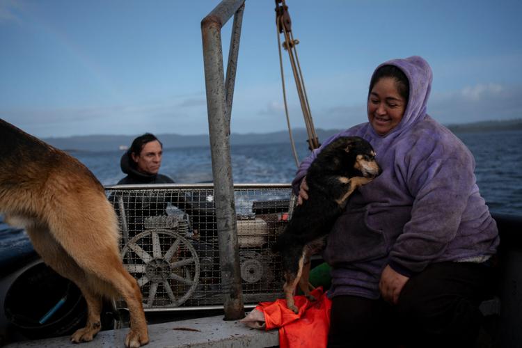 Chile Salmon Farms