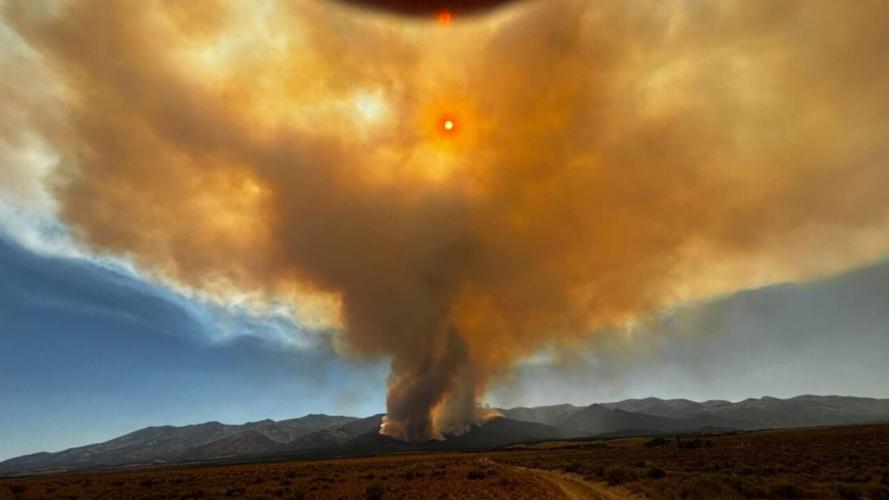 Ward Fire
