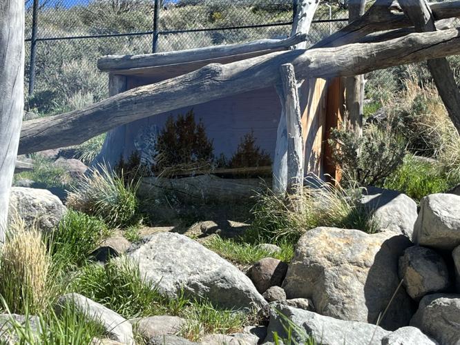 Animal Ark Opening Day