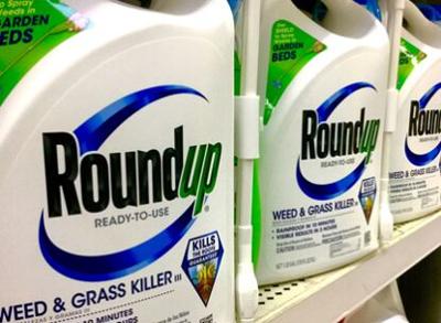 Judge: Experts Can Testify That Roundup Linked to Cancer