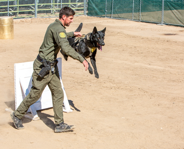 k9 event carson 3.PNG