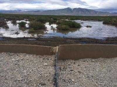 Swan Lake Concerns Continue in Lemmon Valley