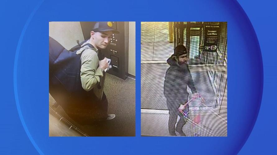 Scheels & Harbor Freight Suspects