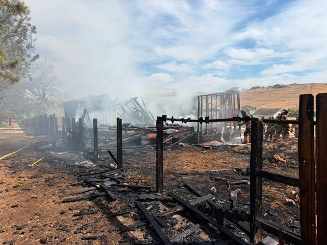 TMFR mobile home fire.jfif