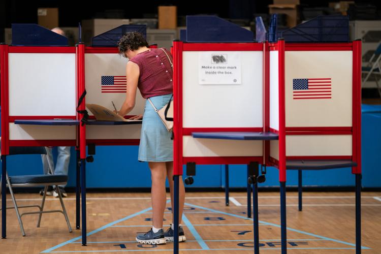 Election 2026 Virginia