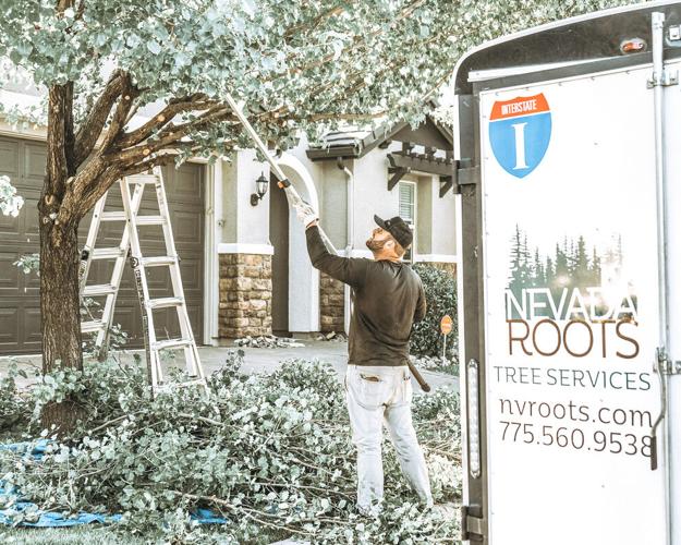 Nevada Roots
