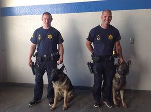Douglas County Sheriff's Office Buys Two New Canines