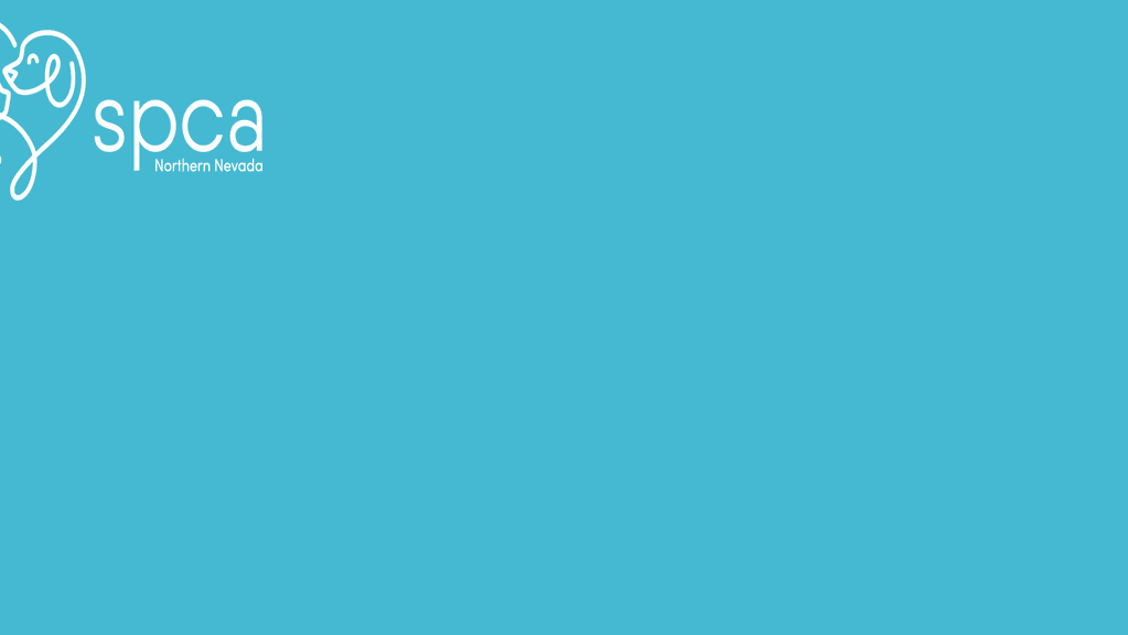 SPCA LOGO