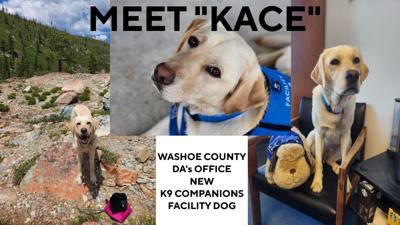 WC DA's Office New K9 Companions Facility Dog "KACE"