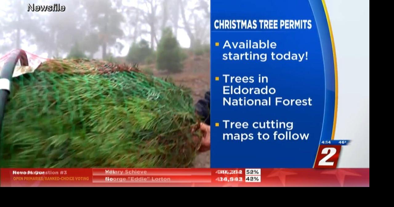 Christmas Tree Permits Available Local News